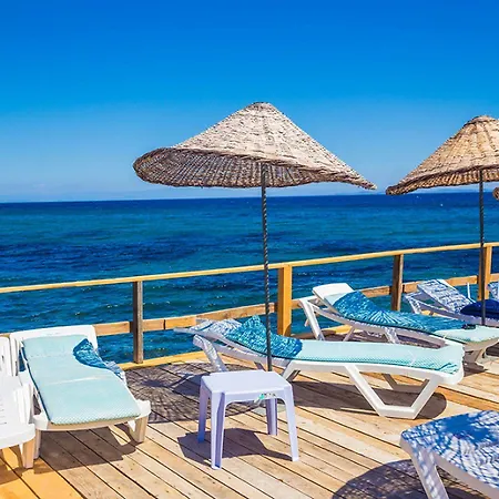 فندق Oktem سازلي